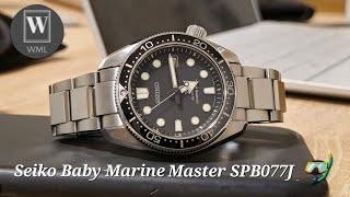 7 Year Old Seiko Baby Marine Master SBP077J Showcase  Would be better on a sailcloth strap .