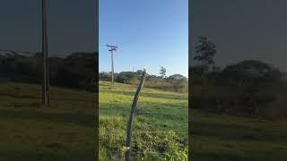 Voltando da roça a tardinha aqui estamos pertinho da barragem de camocim pE #roçaminhapaixão