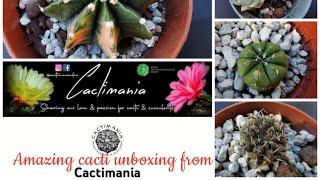 Amazing cacti gift from Cactimania | Unboxing