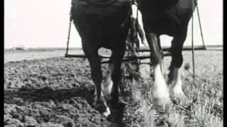 Working the Land: The Bygone Age of Farming DVD (Timereel)