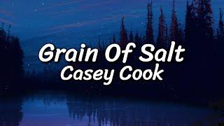 Casey Cook - Grain Of Salt (Lyrics Video)