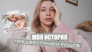 СХВАТКИ и ПРЕДВЕСТНИКИ РОДОВ