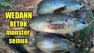 IKAN BETOKNYA MONSTER MONSTER SIAPA YANG NYANGKA SPOT KAYAK GINI