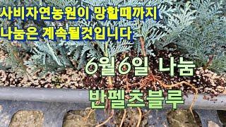 반펠츠블루 나눔 선정했어요