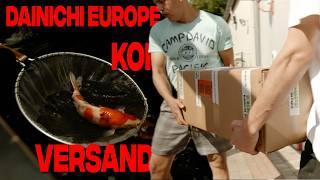 Versand bei Dainichi EUROPE - so verschicken wir unsere Koi! 