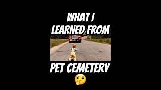 Pet Cemetery taught me always get back up #shorts #petcemetery #stephenking #igetknockeddown