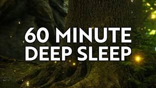 60 Minute Deep Sleep Meditation to Relax and Relieve Anxiety with Ambient Music and Nature Sounds