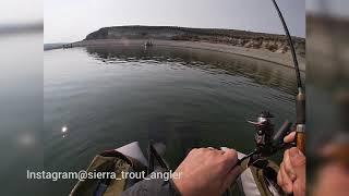 2 Rainbow Trout at Crowley Lake on Sierra Slammers Mini Swimbaits