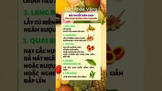 Bí Quyết Giữ Gìn Sức Khỏe Toàn Diện | Sức khỏe vàng #ChămSócSứcKhỏe #BảoVệSứcKhỏe #SốngKhỏeMỗiNgày