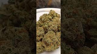 Tahiti Lime Cannabis strain review/W Dr. Greenbody