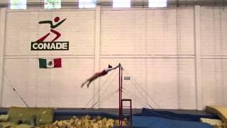 Age Group Programme – Women's Artistic Uneven Bars - High Performance Compulsory 3