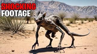 What They Discovered in Sahara Desert has Shocked Everyone!