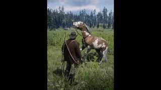 FIND RARE HORSE in RDR2#shorts #rdr2