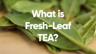 What is Fresh-Leaf TEA?