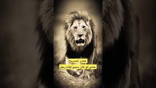 عاشر الصريح حتى لو كان سيئًا، فإنه رجل لا يعرف التلون، والصدق عنده أولى من إرضاء الناس