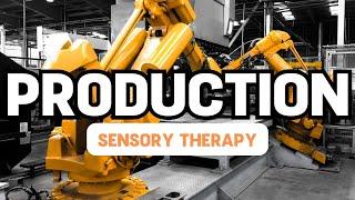 Production Line and Relaxing Music || Autism Sensory Therapy