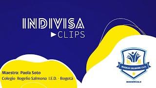 #IndivisaClips Colegio Rogelio Salmona I.E.D.