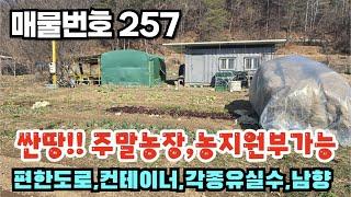 [매물번호 257] 싼땅! 주말농장, 농지원부가능, 편한도로, 컨테이너, 각종유실수, 남향 #밀양부동산 #밀양전원주택 #밀양촌집 #밀양농막땅 #밀양주말농장땅