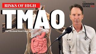 RISKS OF HIGH TMAO | The Common Sense MD