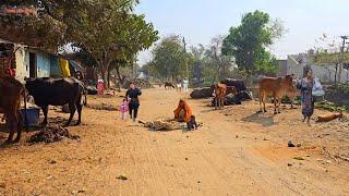 Some Undiscovered Villages Of India [] Very Poor Village In Uttar Pradesh [] Real Life India Daily..