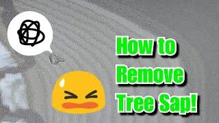 How To Quickly Remove Tree Sap!