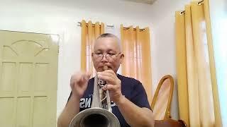 VOLARE - Domenico Modugno  ( Trumpet) cover by Edison Bartolay