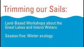 Trimming our Sails Workshop 5: Winter Lake Ecology