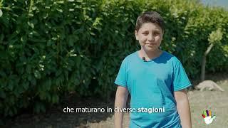 I Cinque Colori del Gusto e del Benessere – Colore Arancio – Video Teaser - 30s