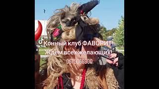 #конныйспорт #конныйклуб #верховаяезда