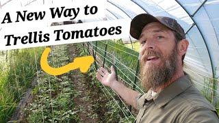 A New Way to Trellis You Tomatoes [Plus Setup Up Our Lean and Lower Tomatoes]