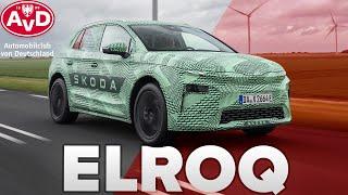 Skoda Elroq Enthüllung: Alles, was du wissen musst | AvD Fahrberichte