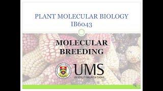 PLANT BREEDING USING MARKER ASSISTED SELECTION