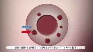 “SELEX DNA 샴푸 DNA 압타머 효능”