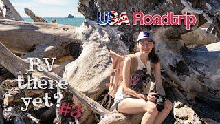 Regenwald und Strand im Nordwesten der USA? Der Olympic Nationalpark in Washington - USA Roadtrip