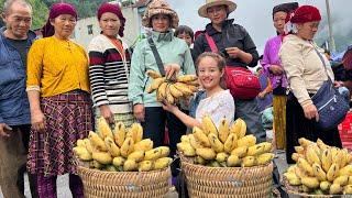 FULL VIDEO: Harvest bananas and watermelons to sell at the market