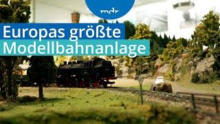 Erzgebirge: Modellbahnanlage wird für die Weihnachtszeit auf Hochglanz gebracht | MDR um 4 | MDR