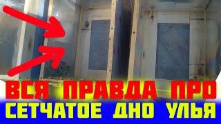 Сетчатое дно улья за и против. Плюса и минуса ульев из сетчатыми доньями