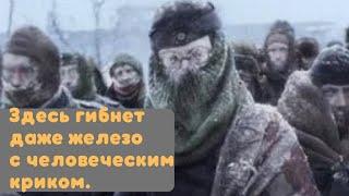 Эта тактика помогла немцам выжить под Москвой. Воспоминания немецких солдат. Мемуары солдат
