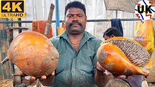 KASIMEDU SELVAM CONCH CUTTING | CONCH CUTTING SKILLS | CONCH CUTTING VIDEOS | UK SONS MARINE