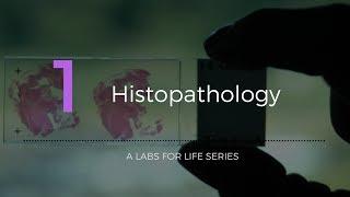 Histopathology