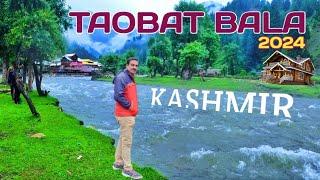 A Paradise in Kashmir || HIDDEN BEAUTY OF TAOBAT BALA || KASHMIR IN 2024 || A Haven for Natur Lovers