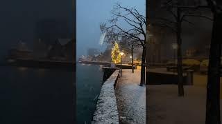 Swiss Christmas feeling #youtubeshorts #shorts #switzerland #nature #winter  @