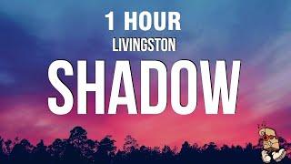 [1 HOUR] Livingston - Shadow (Lyrics) "don't think twice you'll be dead in a second"