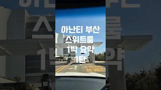 아난티 부산 스위트룸 1박 요약 (아난티앳부산코브)