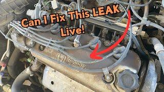 1995 Honda Accord Valve Cover Oil Leak FIX | DIY Repair Live Stream Highlights