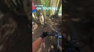 Best Berms in the World?