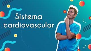 Sistema cardiovascular - Brasil Escola