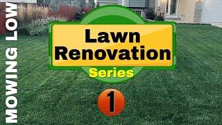 Lawn Renovation Series - Episode 1 Mowing Low