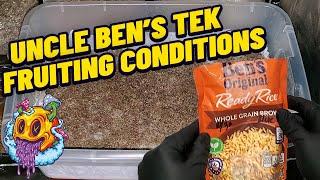 Uncle Ben's Tek Fruiting Conditions (My First Time)