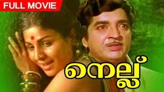 Malayalam Superhit Movie | Nellu | Classic film  | Ft.Prem Nazir |  Jayabharathi  | Others